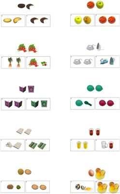 Promoting relational thinking in preschoolers (ages 3–5) through participatory science learning: insights from RMTS with Roma children